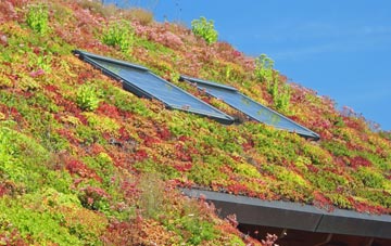Cringleford living roof systems