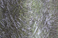 Cringleford fibreglass roof work